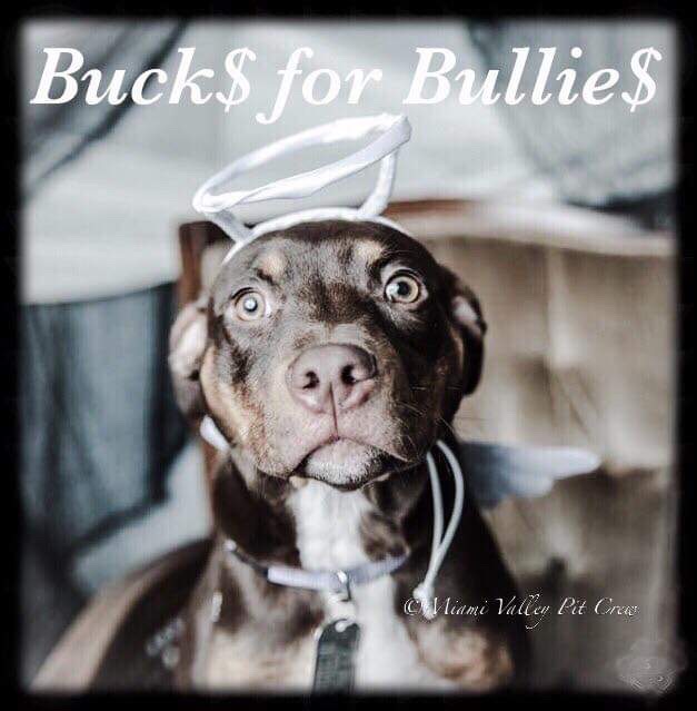 Bucks for Bullies logo