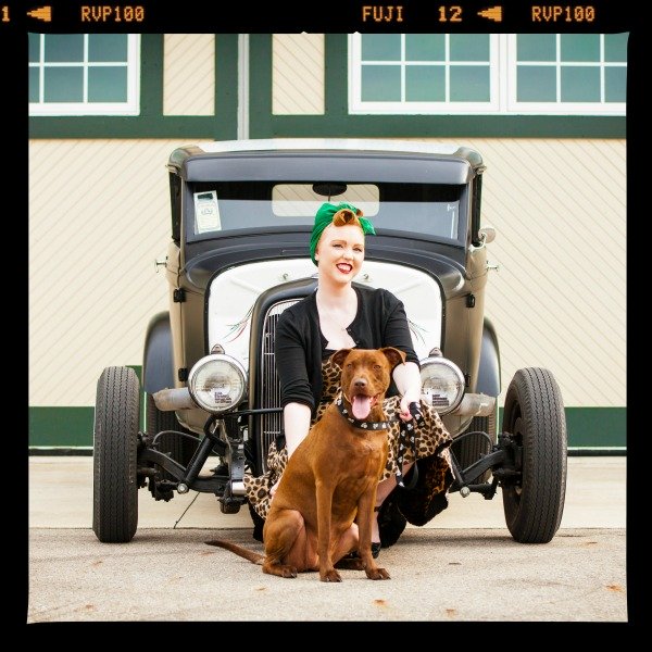 pit bull in front of an antique truck